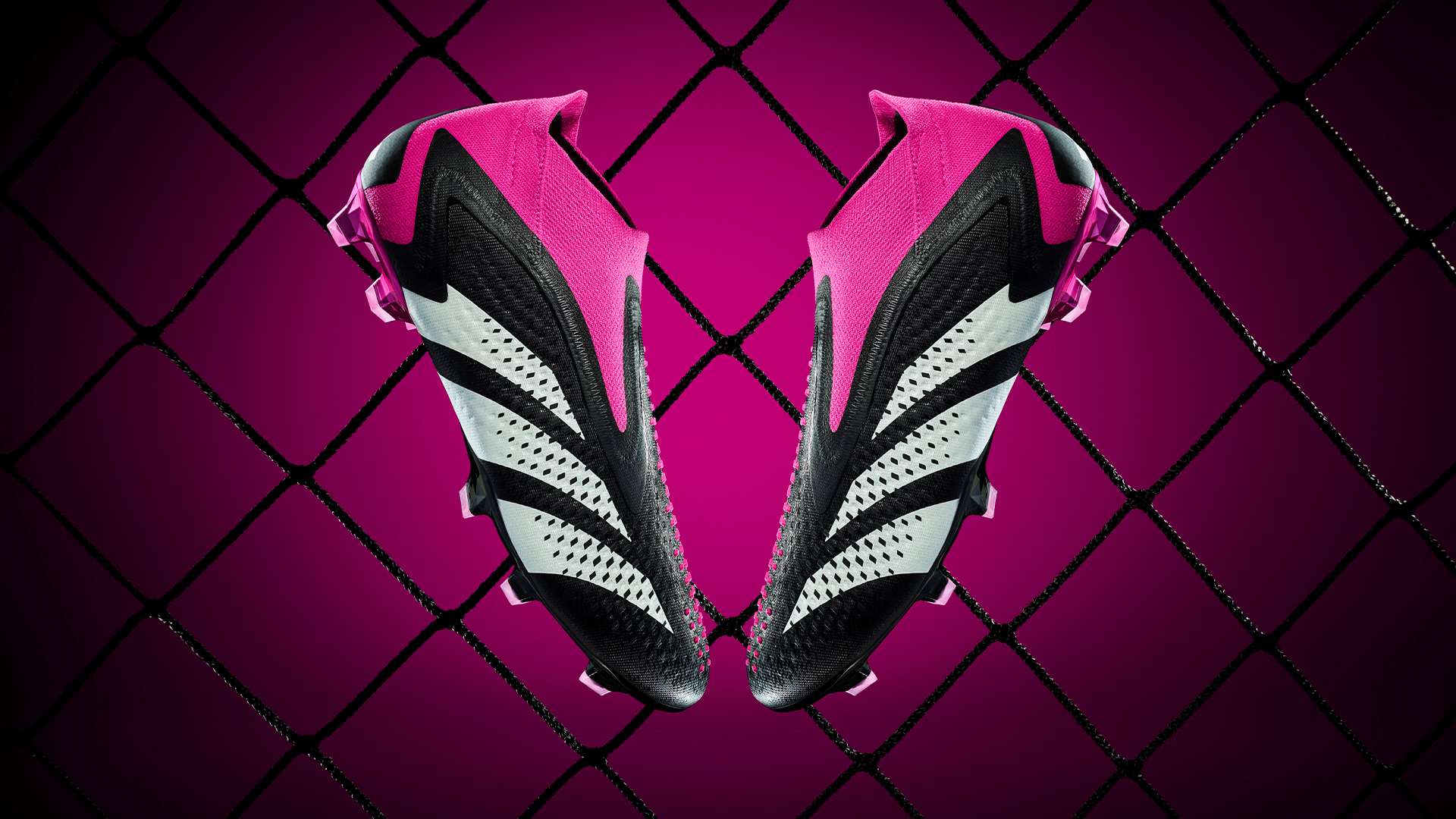 反击中的关 反击中的关