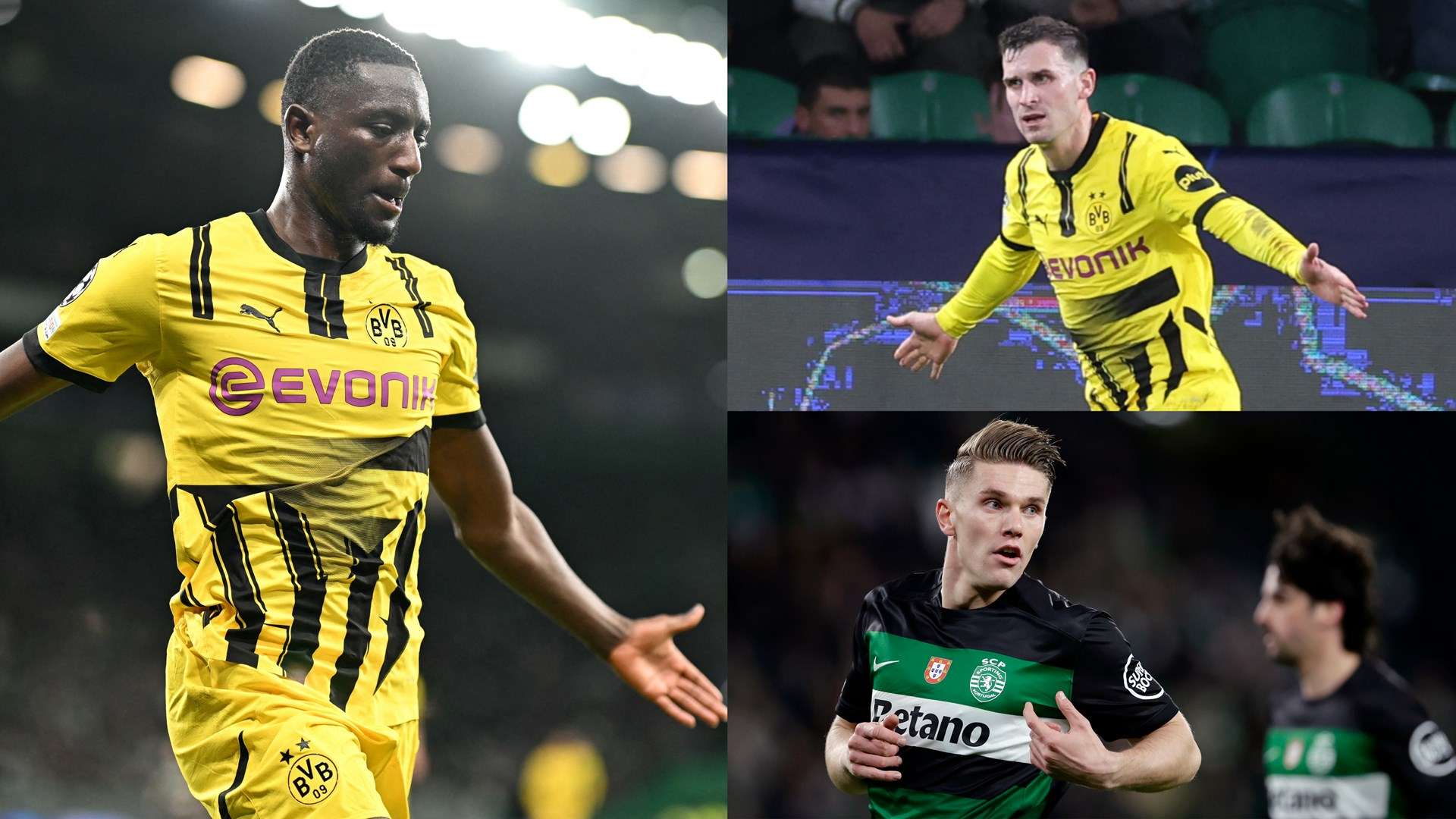 迷来说可能 迷来说可能